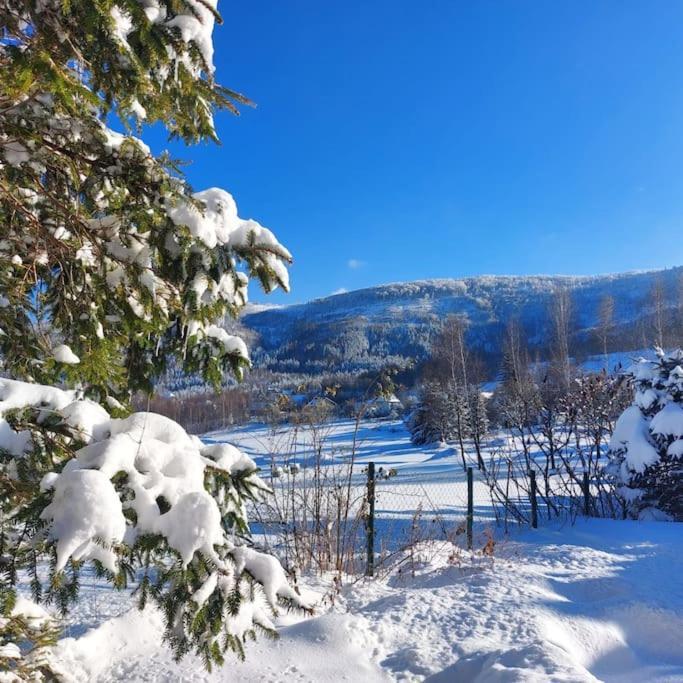 Panorama Sucha Gora Villa Skawica  Екстериор снимка